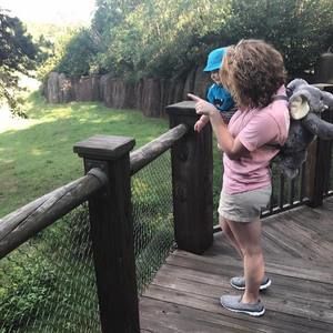 Meet your Posher, Abigail